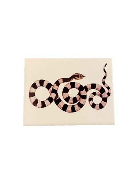 Azulejo Cobra SR10047