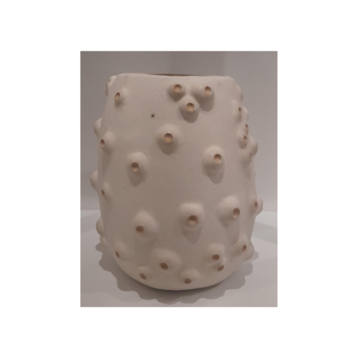 Bowl Craca M SR11577